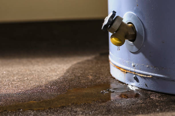 Best Commercial water damage restoration  in Wade, MS