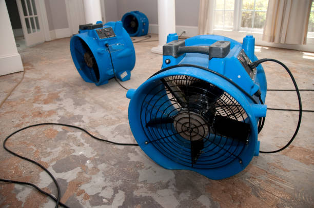 Best Flooded house restoration  in Wade, MS