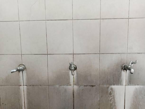Best Water damage restoration mold remediation  in Wade, MS